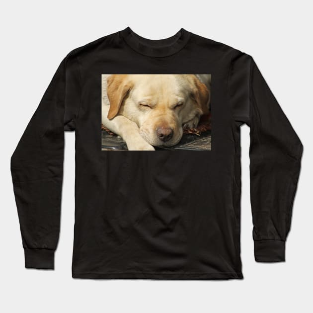 Sleepy Labrador Long Sleeve T-Shirt by Furtographic